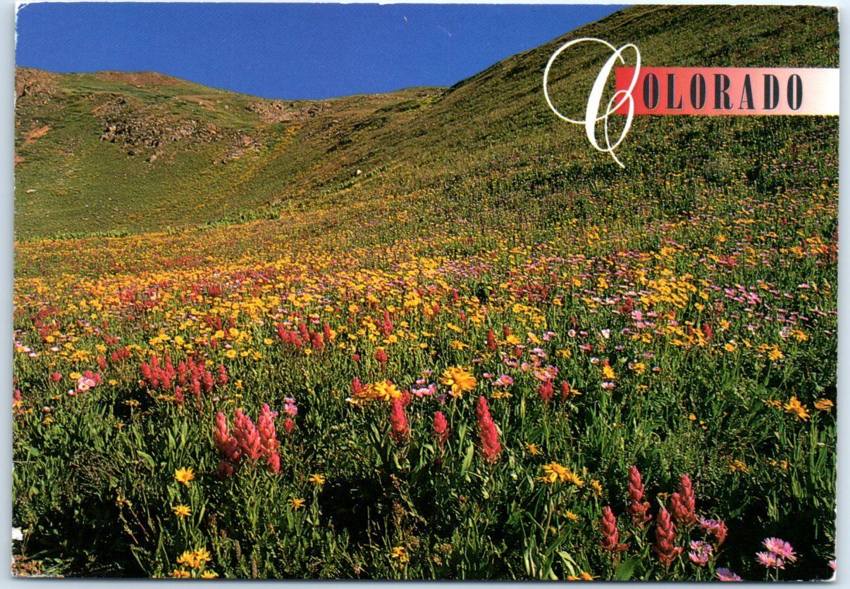 Postcard - Springtime in the Rockies - Colorado