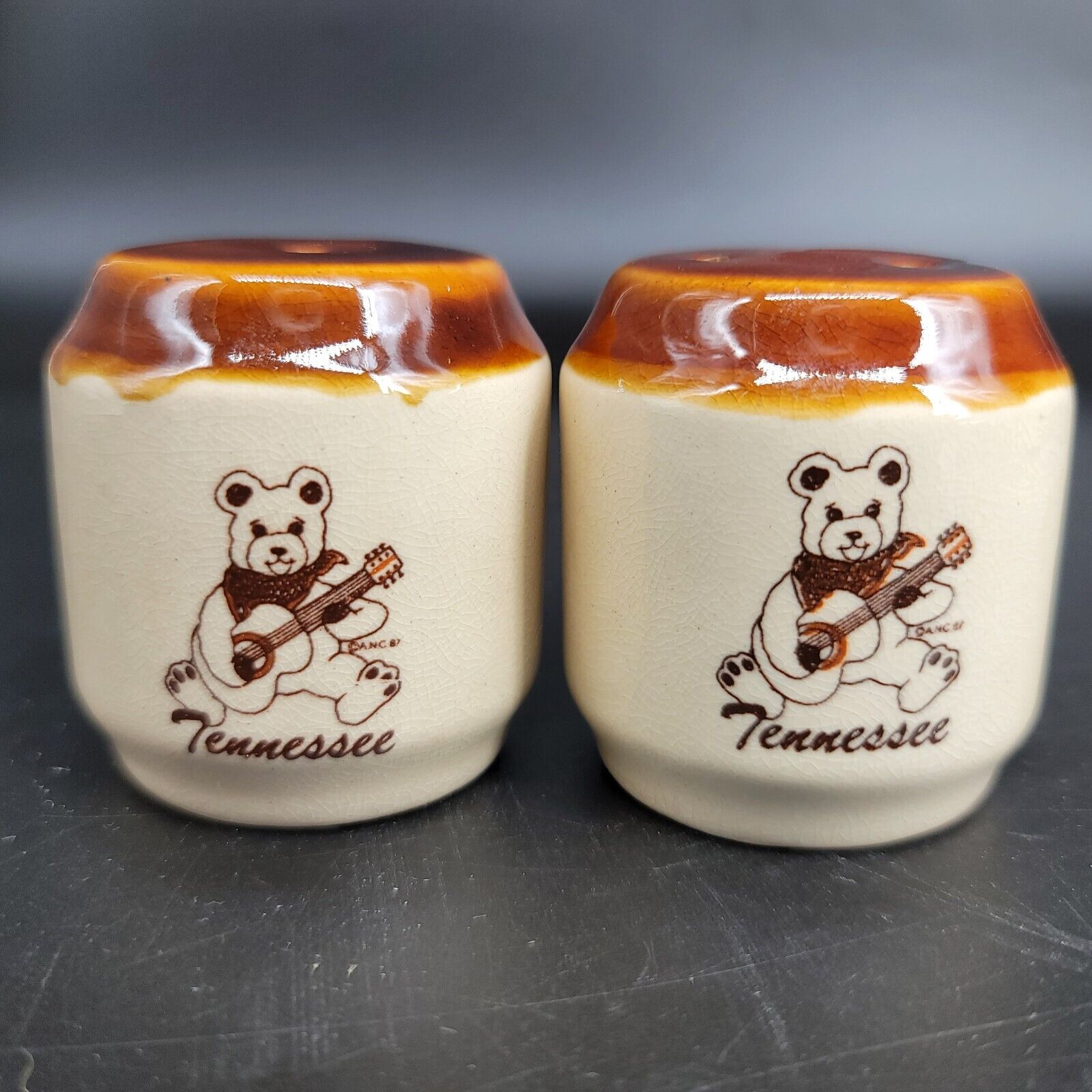 Vintage Tennessee Salt and Pepper Shakers Brown and Tan Souvenir Collectibles