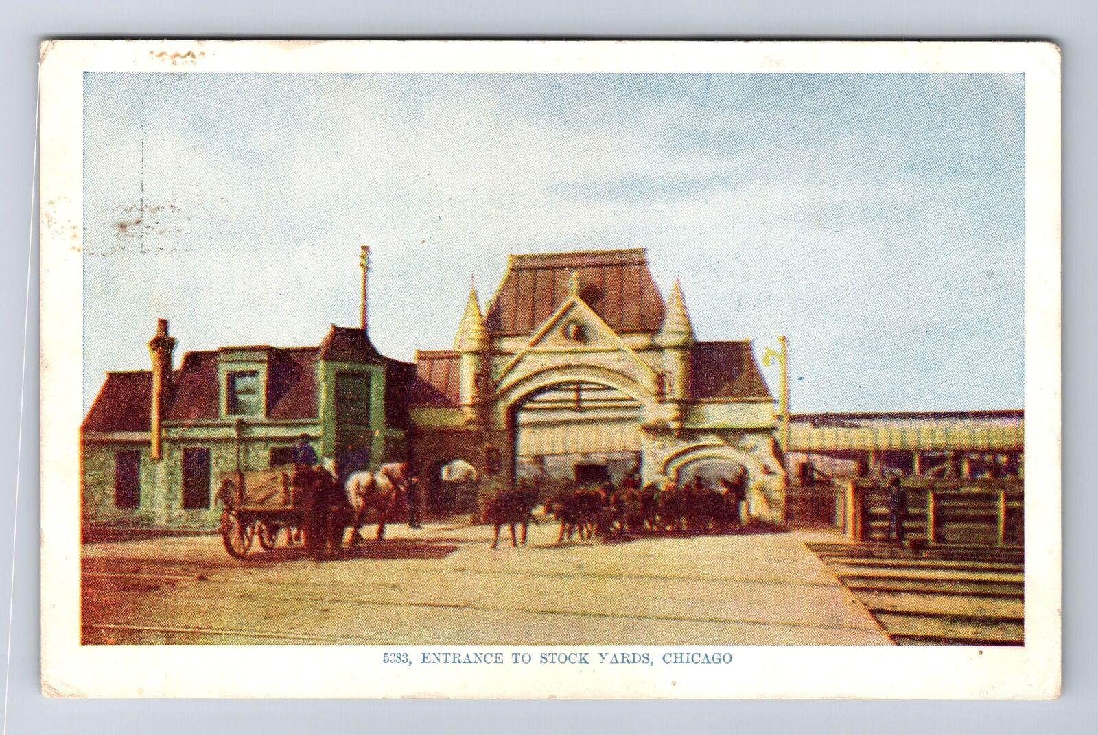 Chicago IL-Illinois, Entrance to Stock Yards, Souvenir Vintage c1908 Postcard