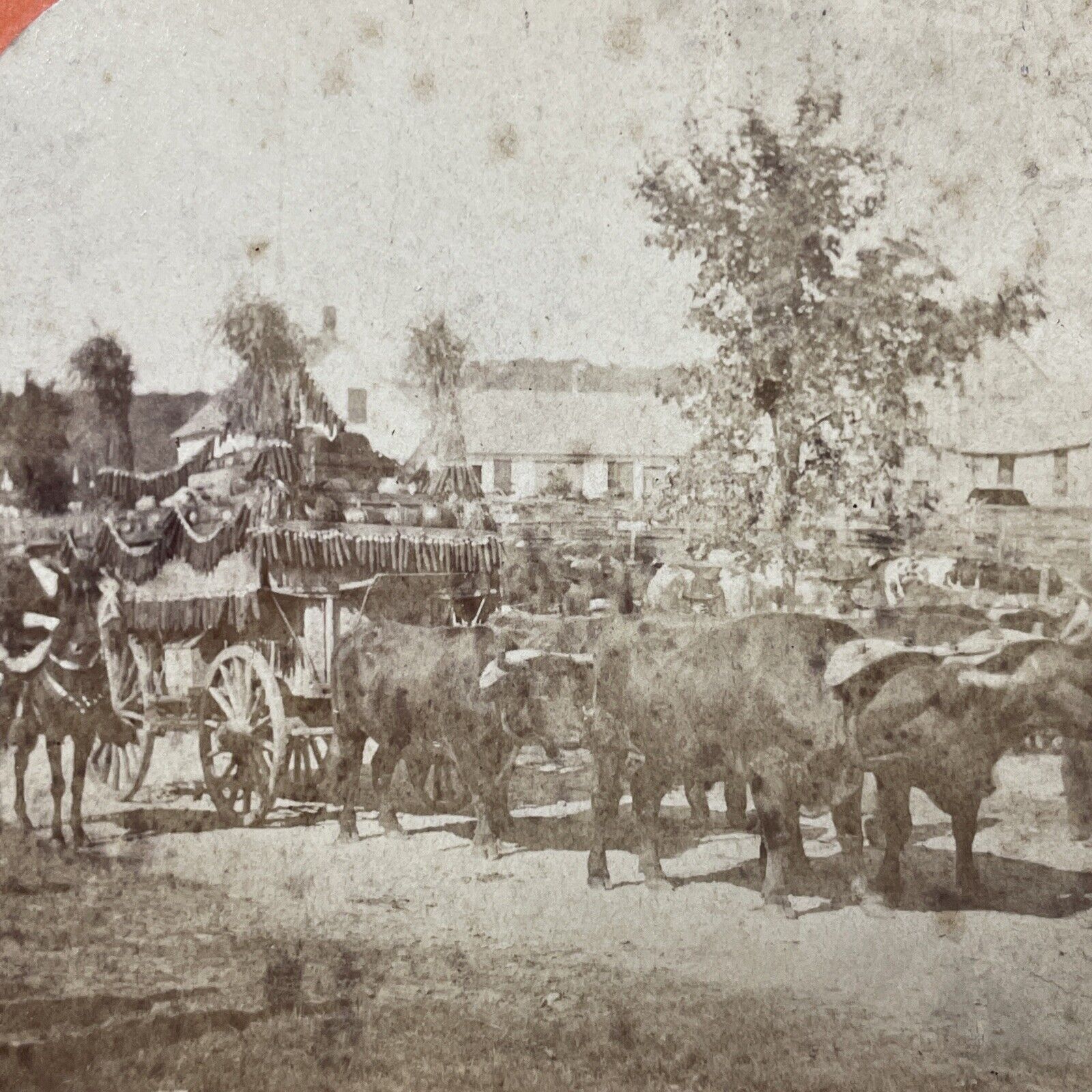 Antique 1878 'The Freak Wagon' Marlow Town Fair NH Stereoview Photo Card V2057