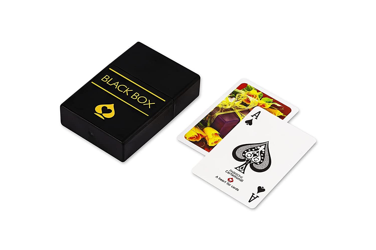 RSGL Black Box Premium Plastic Playing Cards with Case – Waterproof, (Pack of 5)
