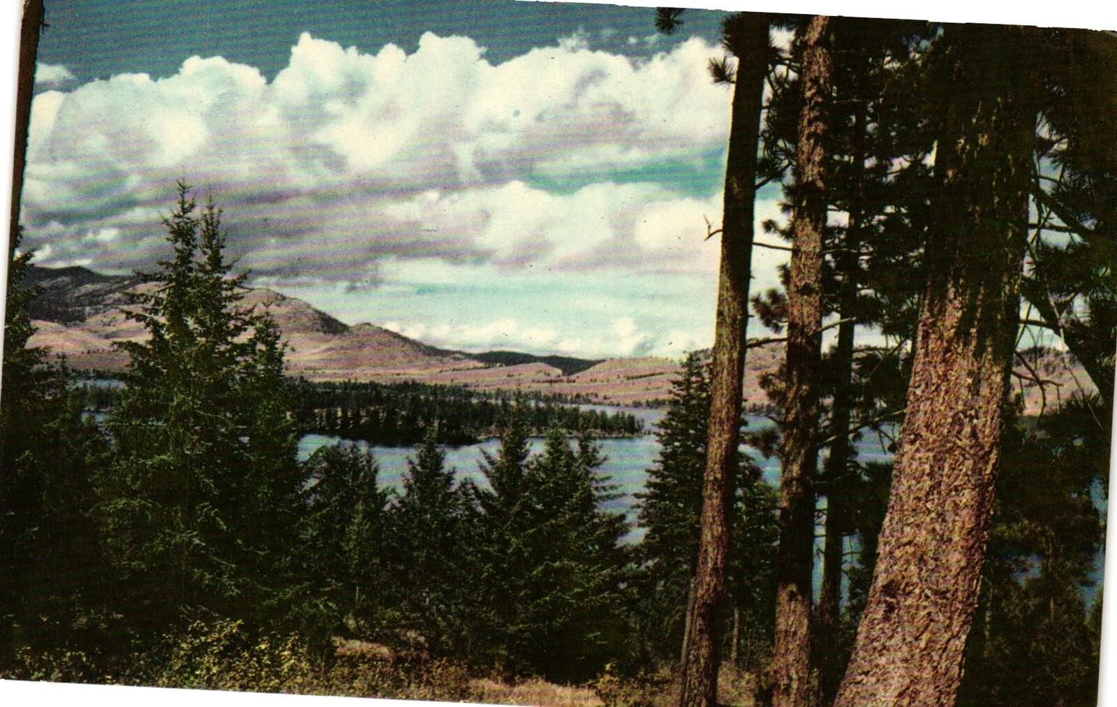 Vintage Postcard- Flathead Lake, Northern Montana Early 1900s