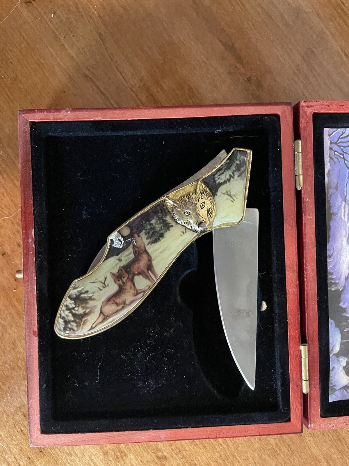 WOLF PACK ~ Howling Wolves Folding Pocket Knife in DISPLAY Wooden Case  4\