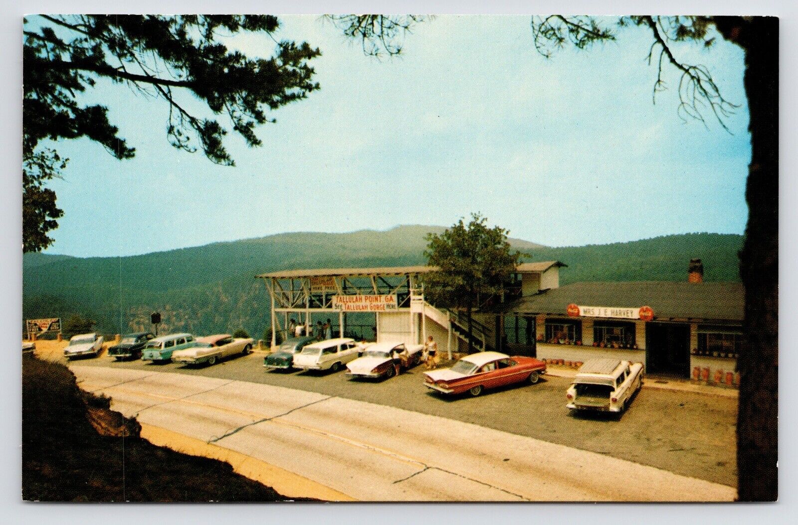 c1970s Tallulah Point~River Gorge~Classic Cars~Coca Cola~Georgia GA VTG Postcard