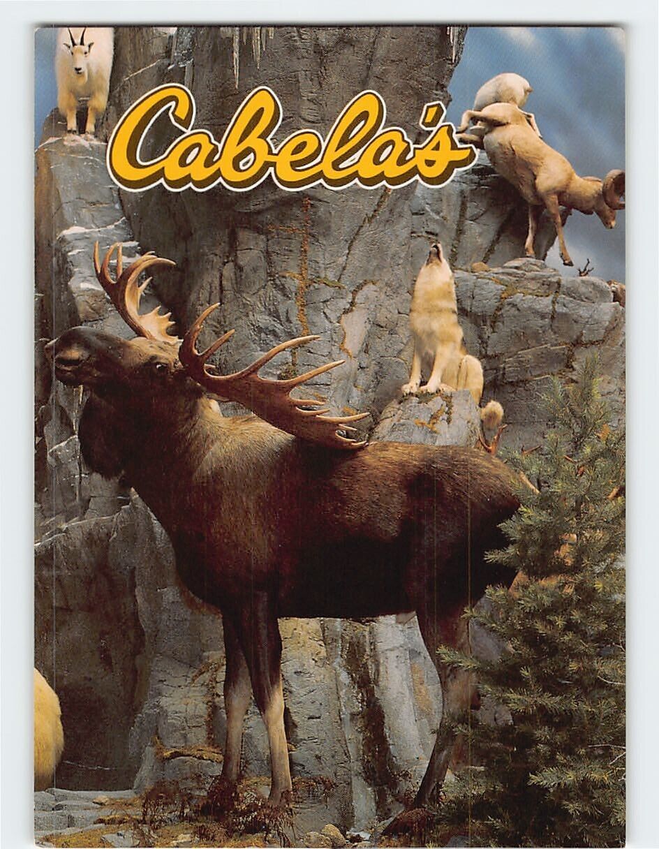 Postcard Cabela\'s World\'s Foremost Outfitter Sidney Nebraska Catalog Showroom