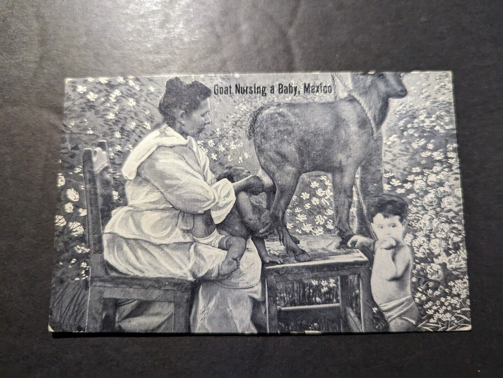 Mint Mexico Postcard Goat Nursing a Baby in Mexico RPPC