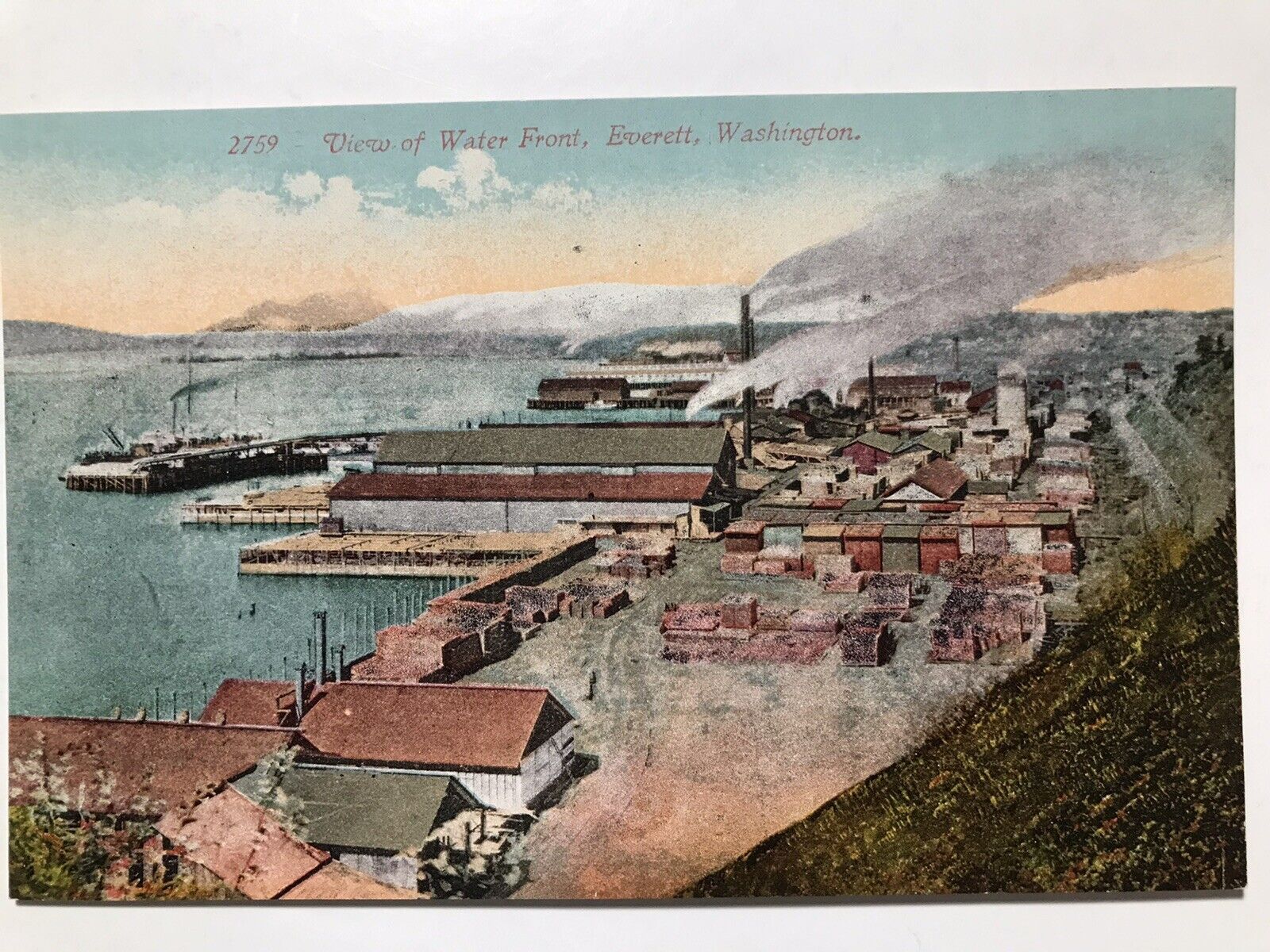 1910 Water Front Everett Washington Divided Back Postcard
