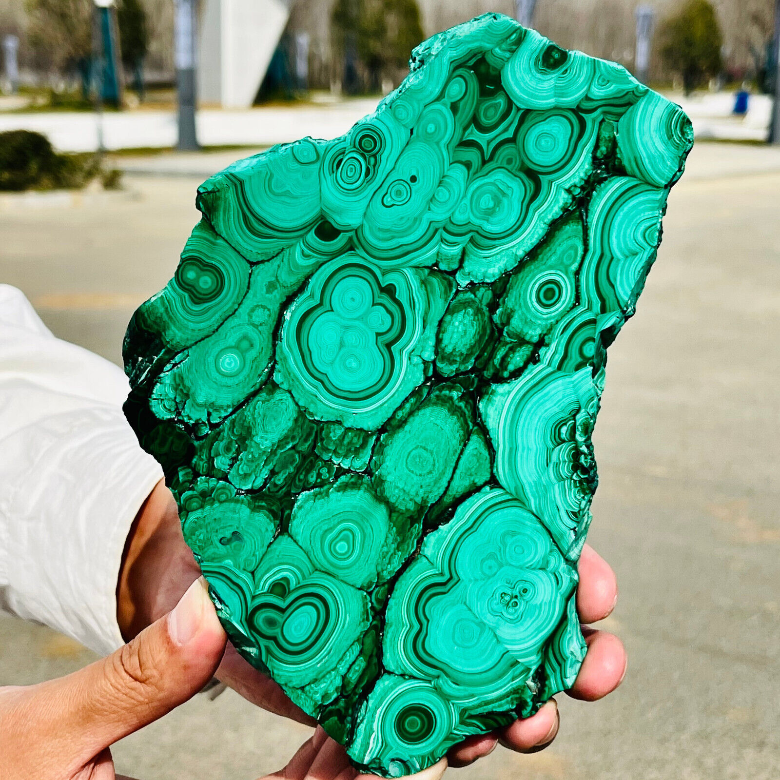 1.56LB Natural glossy Malachite transparent cluster rough mineral sample