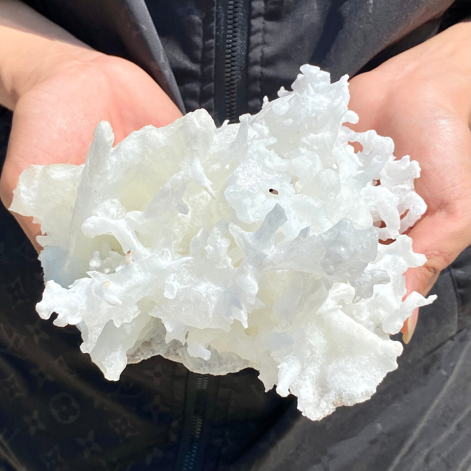 2.8LB Larger Bright White CAVE Aragonite STALACTITE Crystal Cluster
