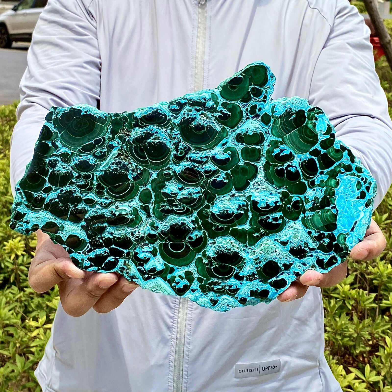 4.7LB Natural polyophthalmic Silicon malachite crystal gloss mineral specimen