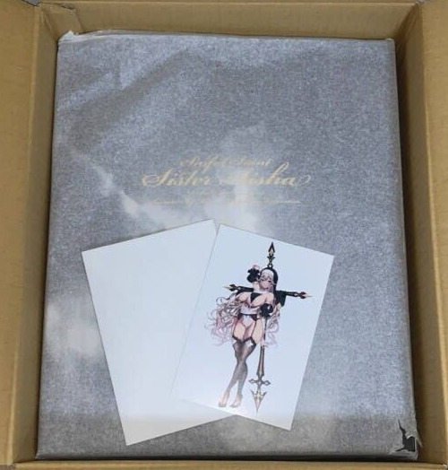 NEW Native Sinful Saint Sister Aisha 1/6 260mm Figure Pink Cat Japan W/ postcard
