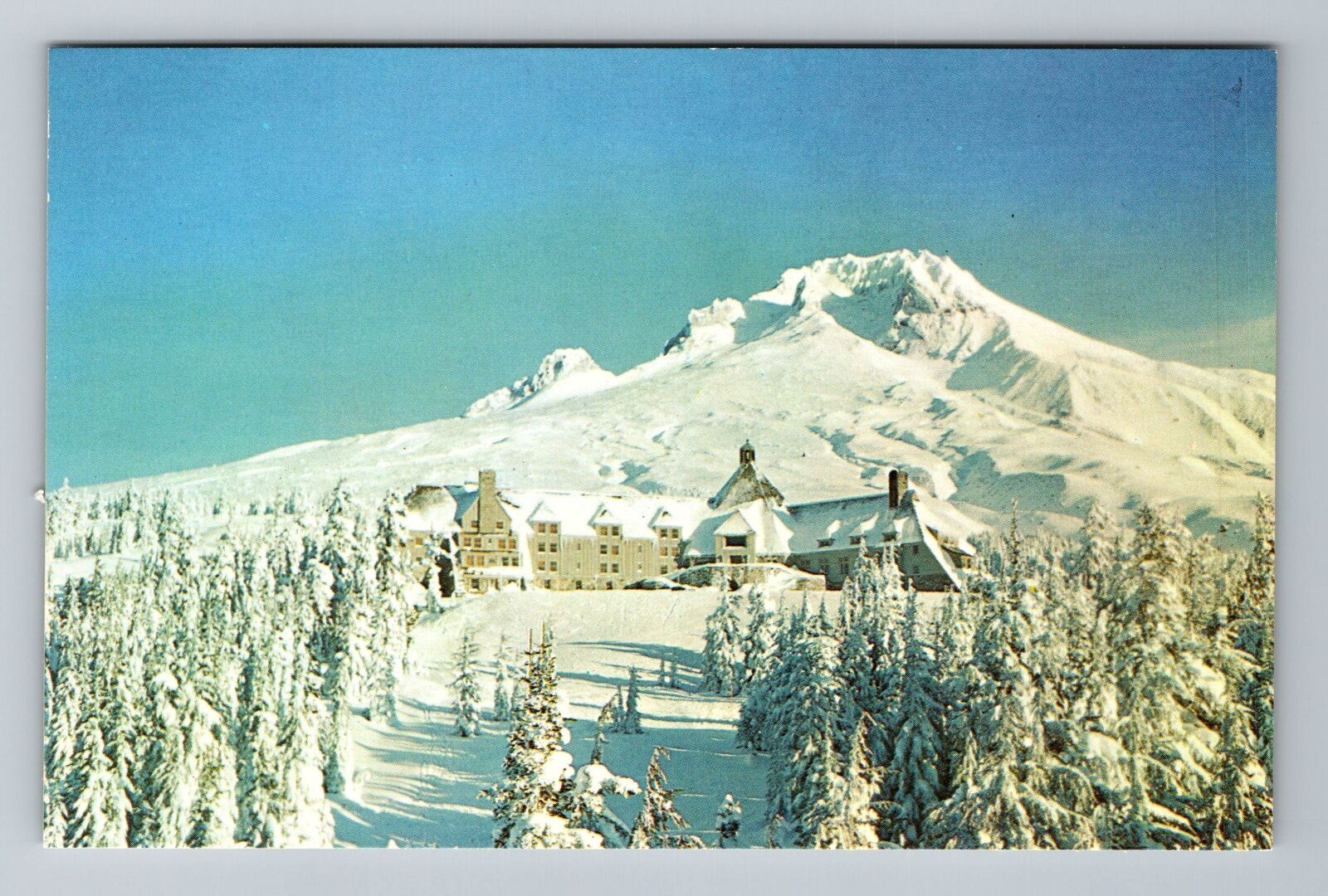 Mount Hood OR-Oregon Timber Line Lodge In Winter Antique Vintage Postcard