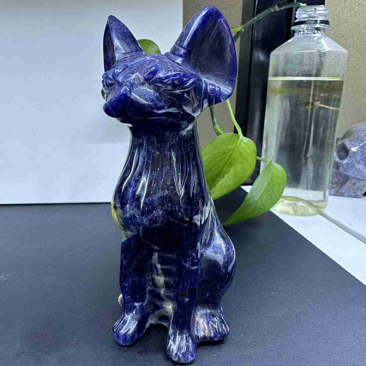 Natural blue sodalite hand Carved cat Quartz Skull reiki decor gift 511g