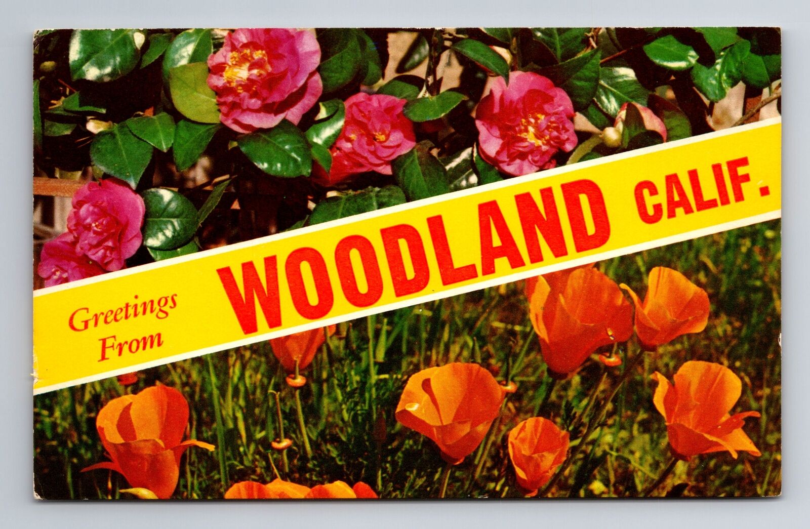 Woodland CA-California, General Banner Greetings, Antique Vintage Postcard