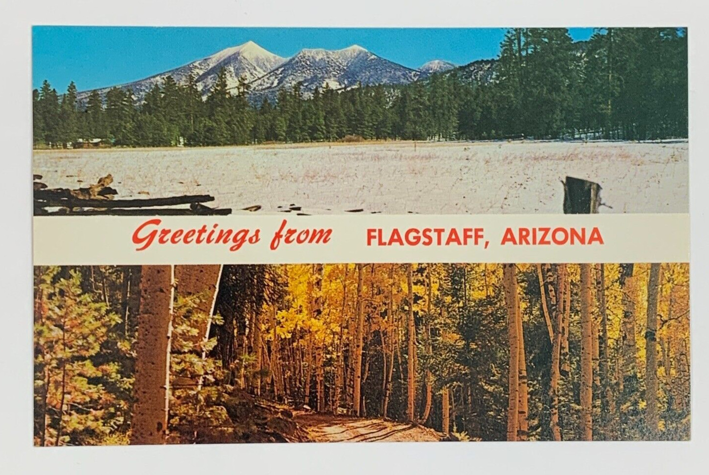 Greetings from Flagstaff Arizona Multiview Postcard Unposted