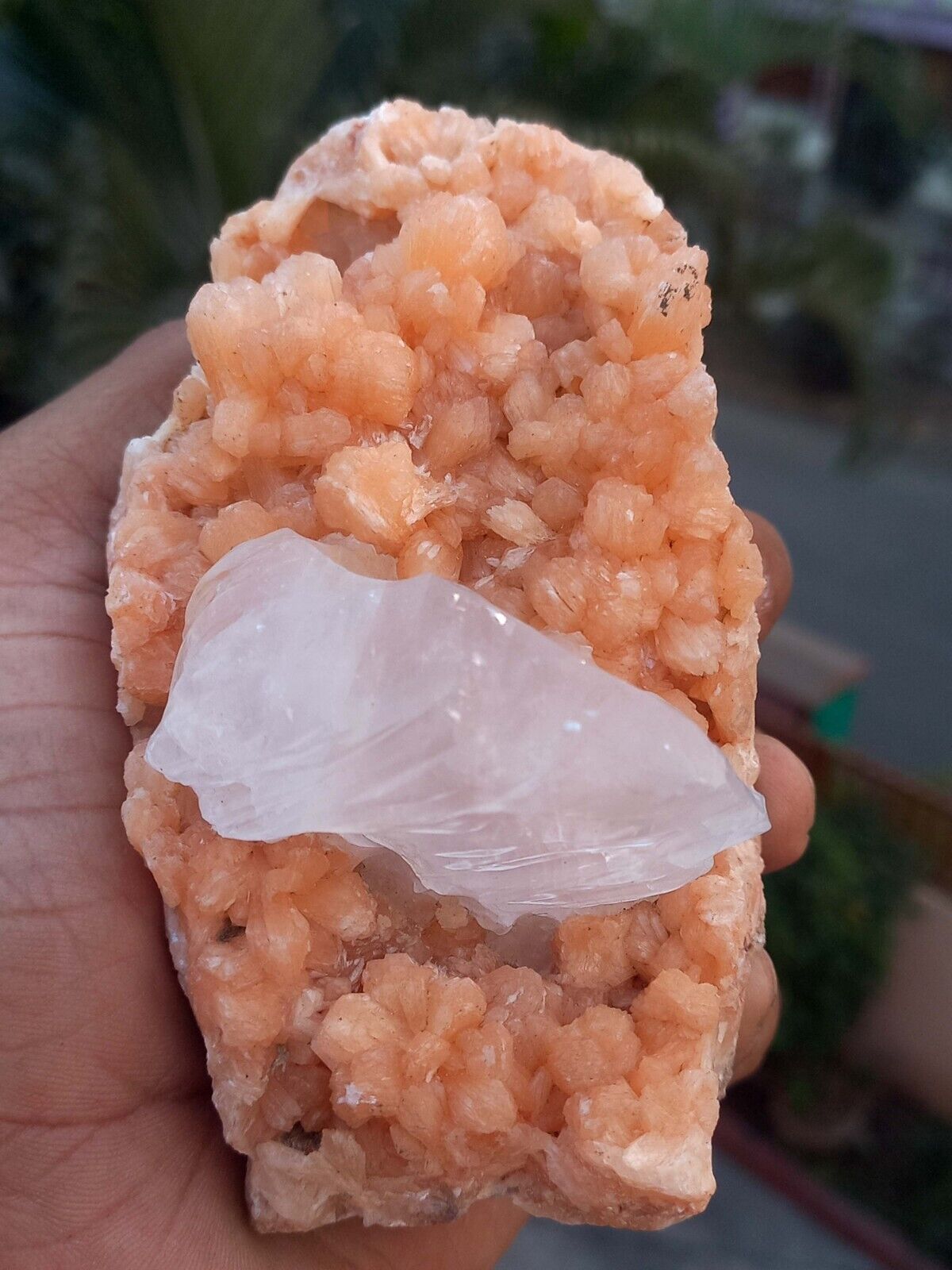 Unusual  melt calcite on orange stilbite # B 206