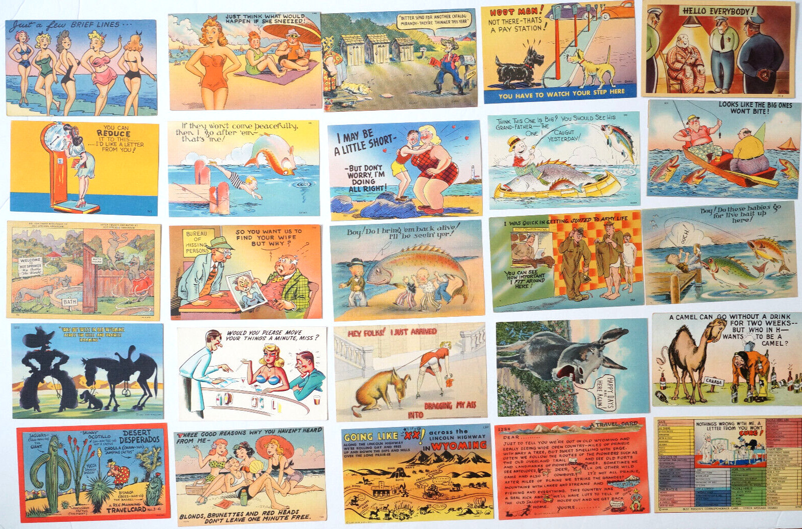 Postcard Lot 25 Comic Cards Joke Funny Humor Animals Cartoon Beach Fish Donkey