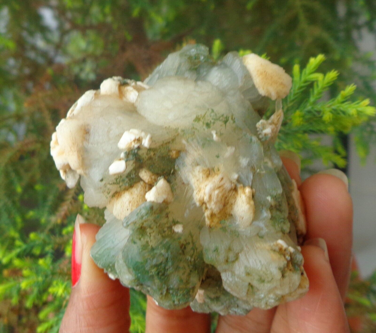 Marshy Green Stilbite Minerals Specimen #F31