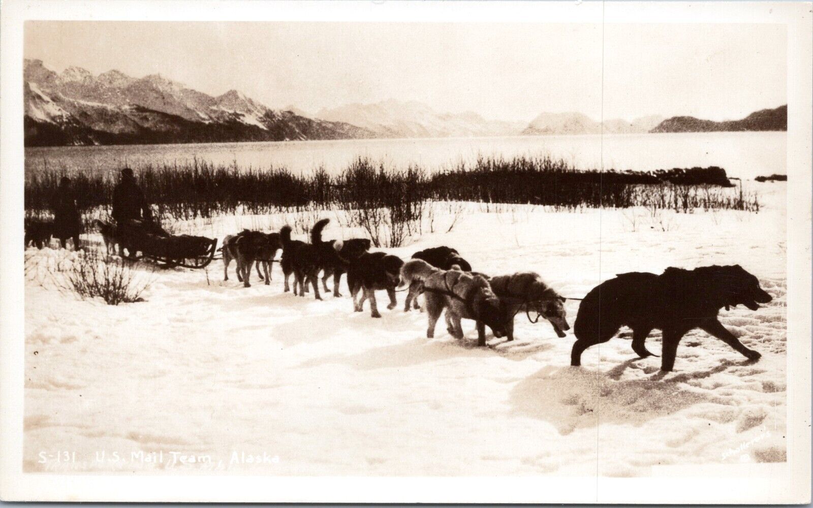 RPPC US Mail Dog Sled Team in Alaska - c1940s Photo Postcard