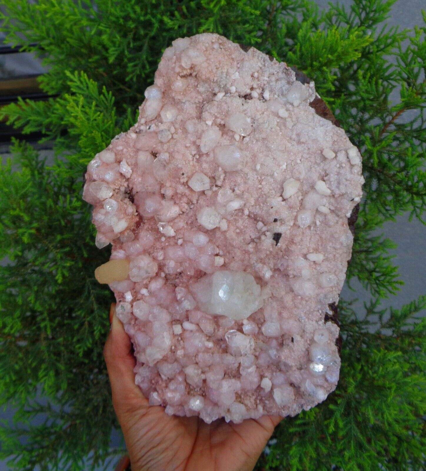 Apophyllite Crystals On Light Pink Chalcedony Matrix Minerals Specimen #H3