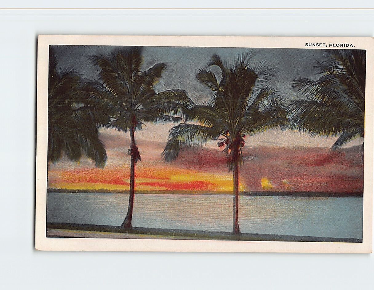 Postcard Beautiful Ocean Sunset in Florida USA
