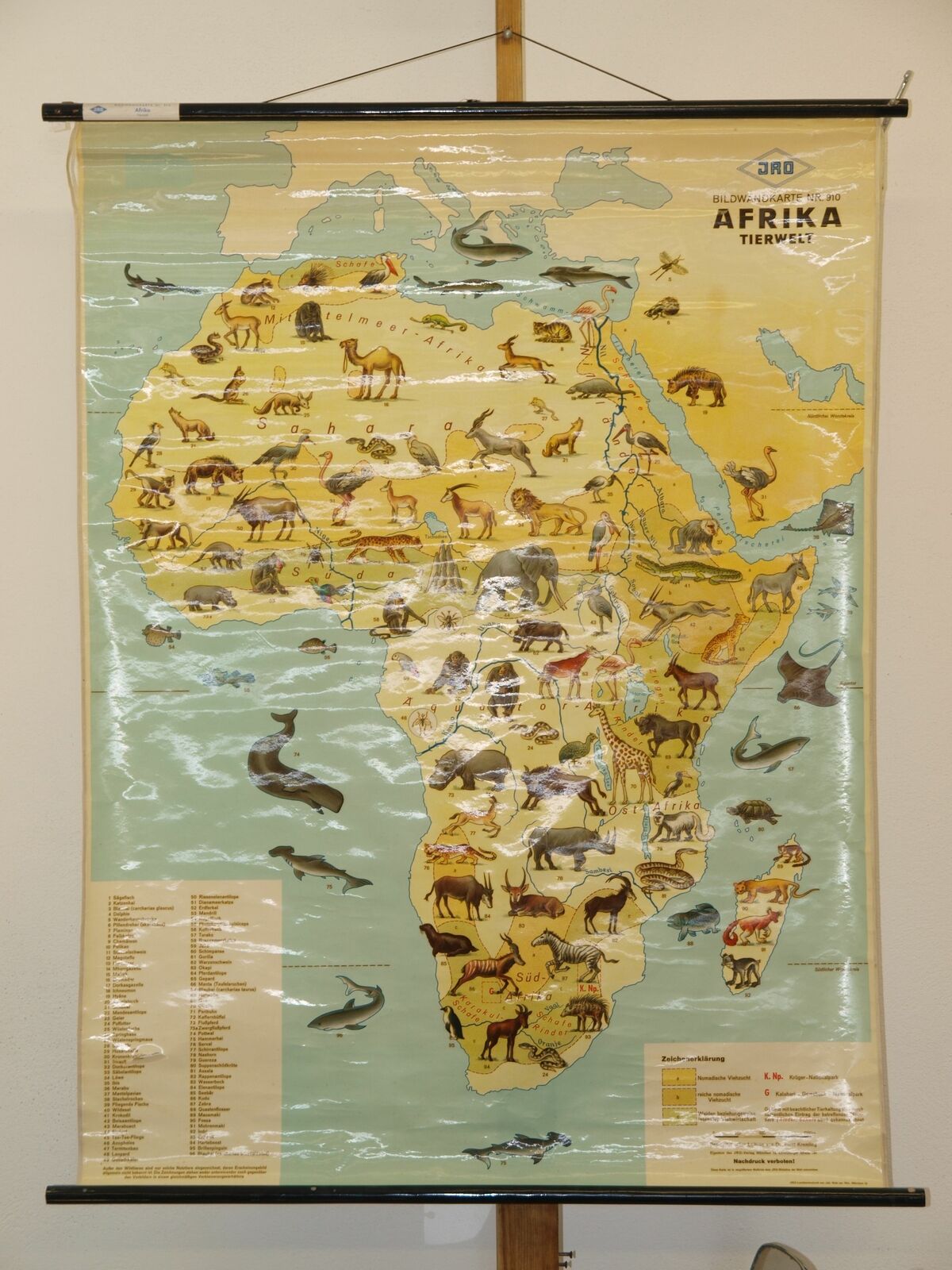 Schulwandkarte Wall Map Picture Card Bildwandkarte Africa Animal World ~ 1955