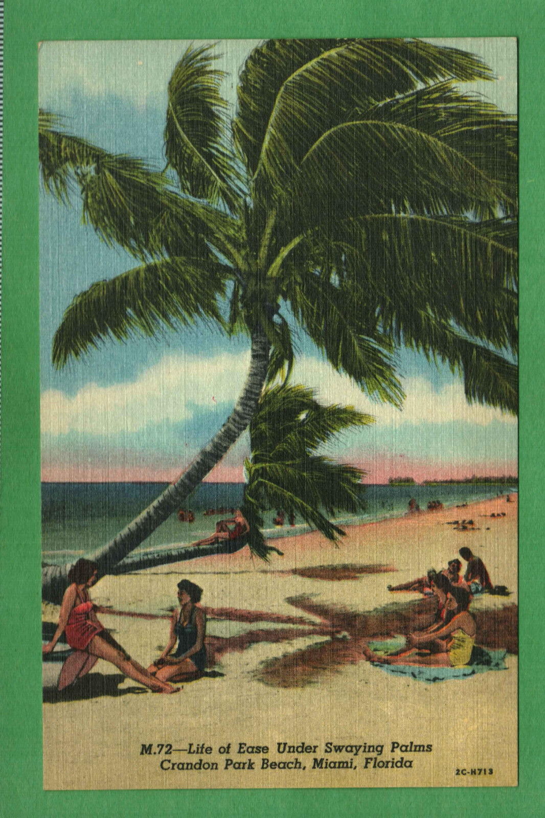 Postcard Crandon Park Beach  Miami Florida Fl Life Of Ease Under Swaying Palms