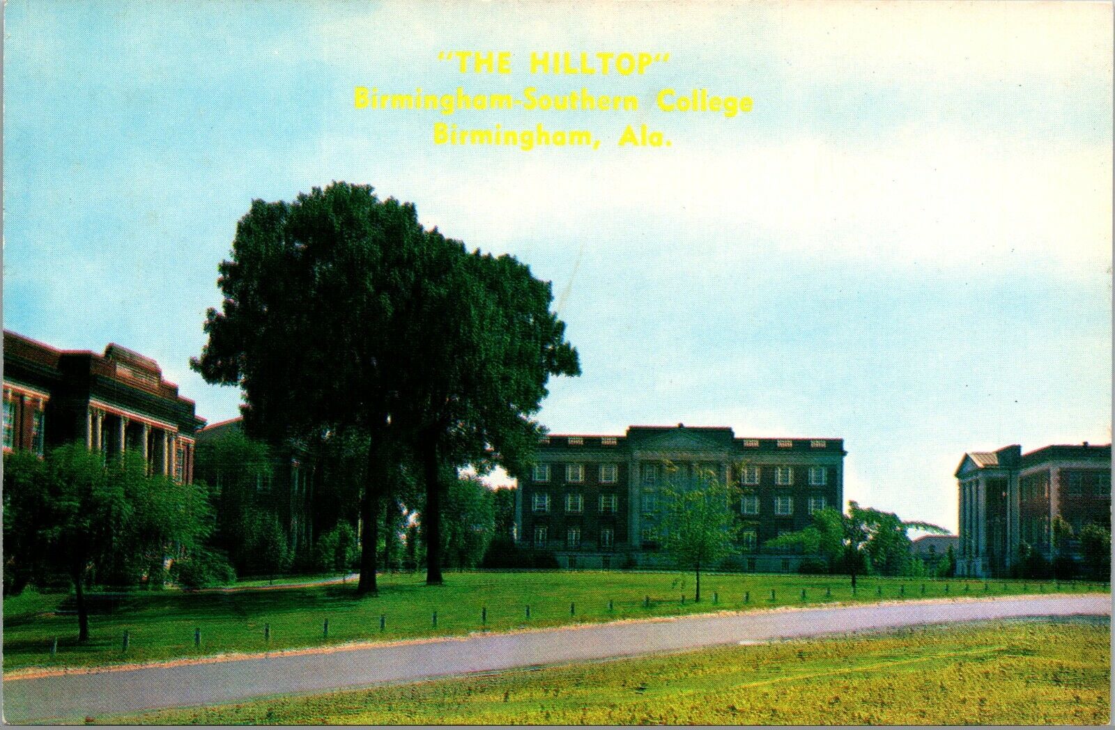 Vtg The Hilltop Birmingham Southern College Phillips Library Alabama AL Postcard