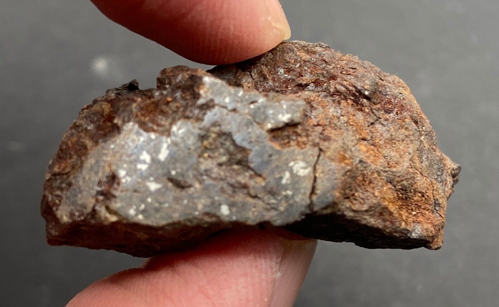 27 gram Vaca Muerta mesosiderite meteorite endcut - Chile