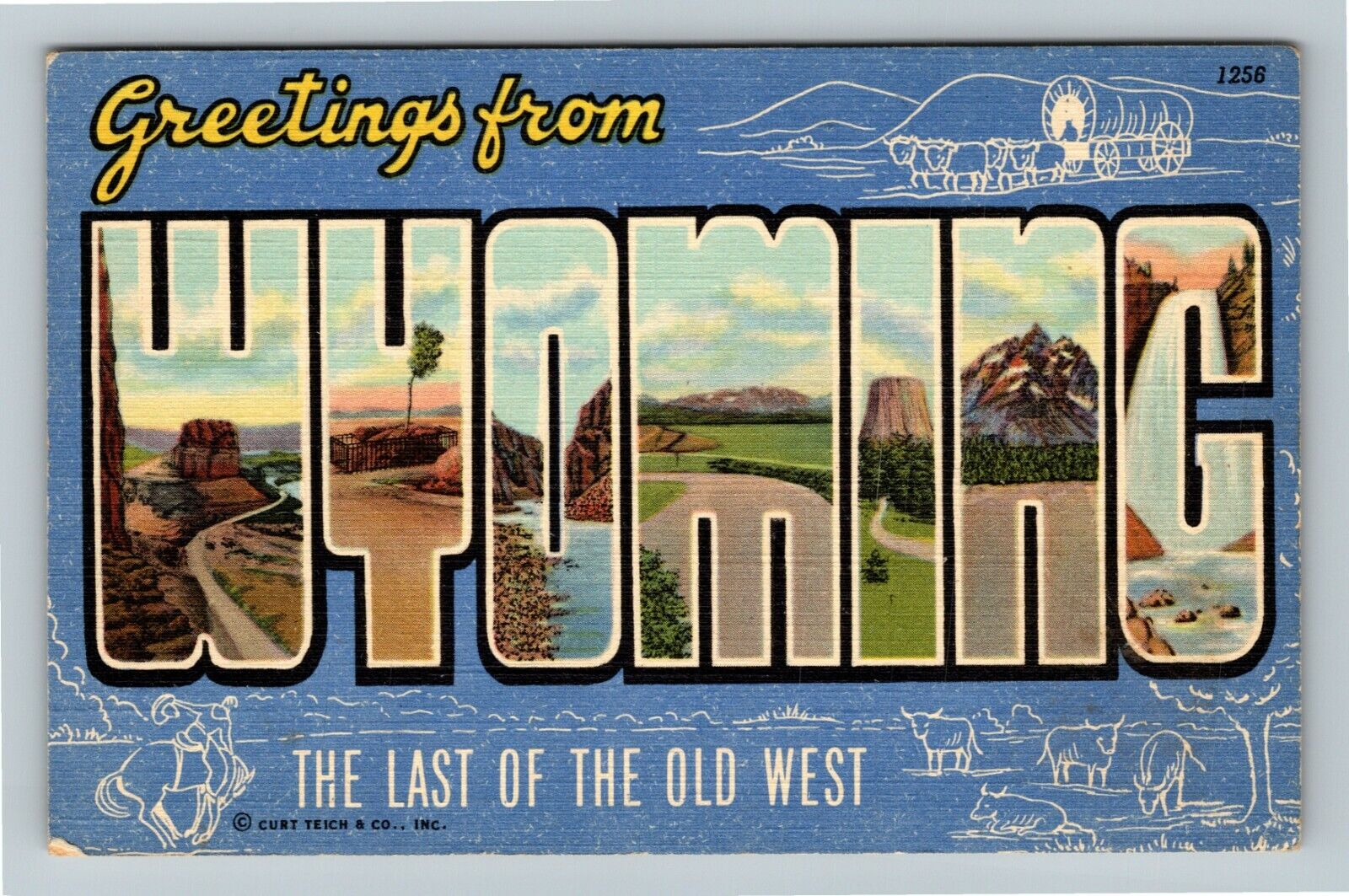 LARGE LETTER Greetings Wyoming  Vintage Souvenir Postcard