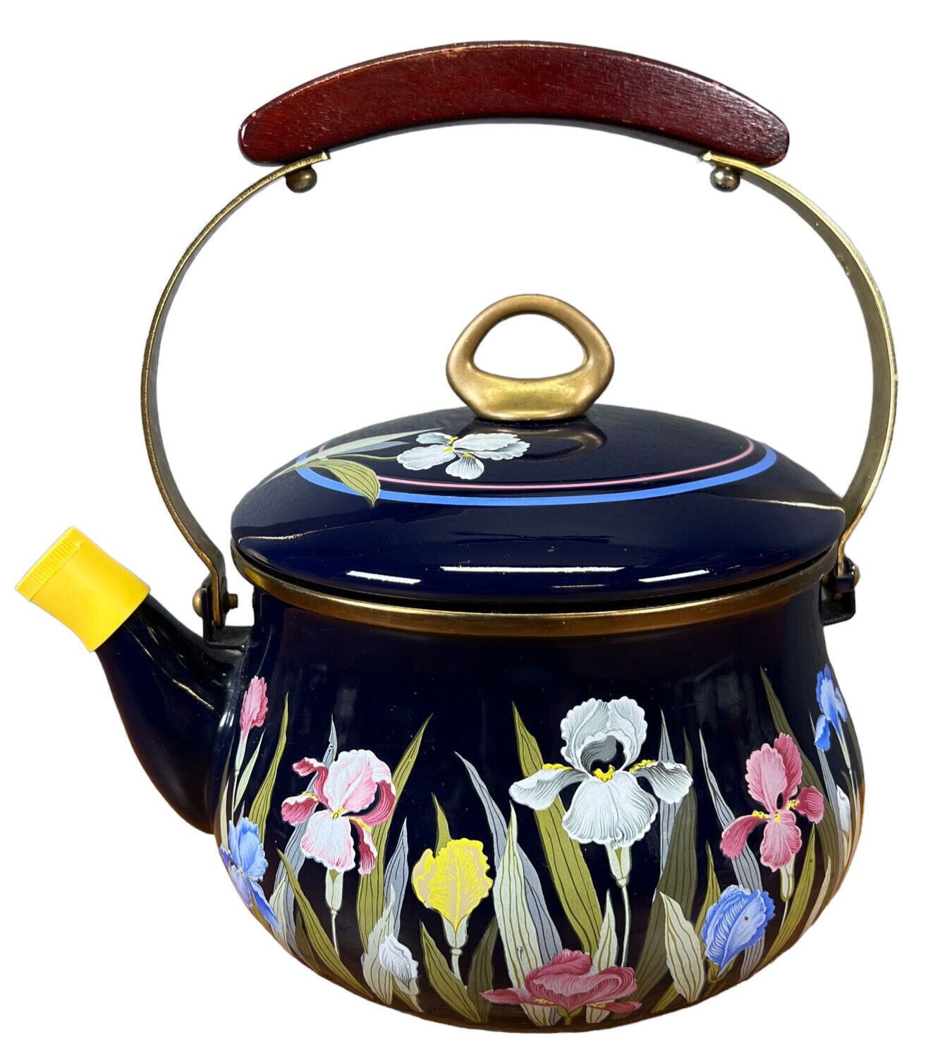 Vintage 1984 Gailstyn-Sutton Iris Enamel Tea Pot Kettle (G4)