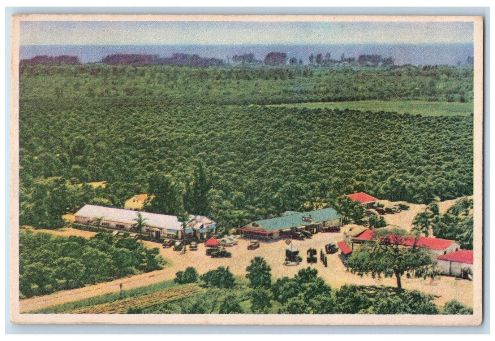 c1950's Indian Rocks Fruits Inc Palm Gardens Dining Room Largo FL Postcard