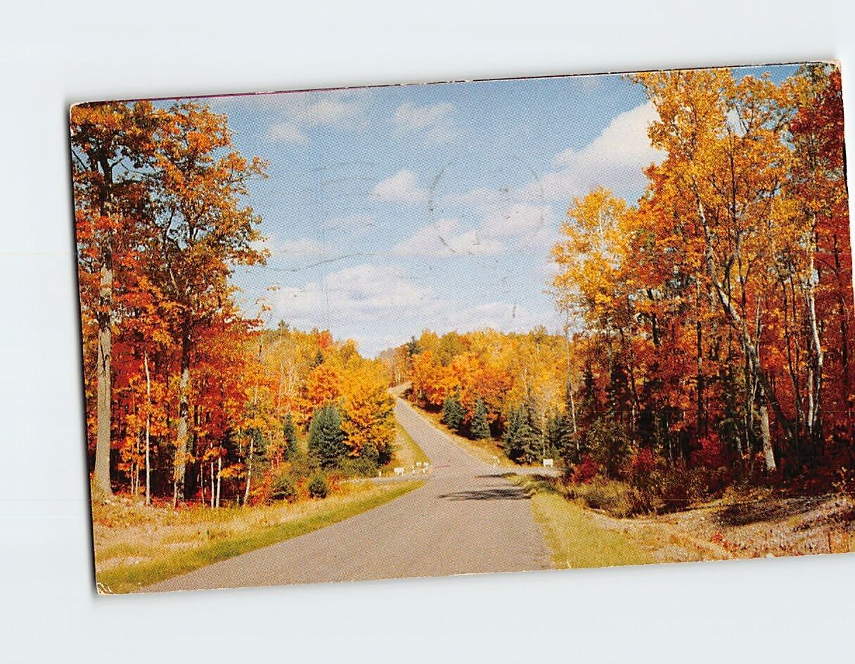 Postcard The Way North, Vacationland Scene, Bea\'s Gift Shop, Pickerel, Wisconsin