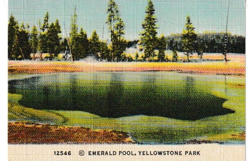Vintage Yellowstone Park Mini Souvenir Cards Color 1940's