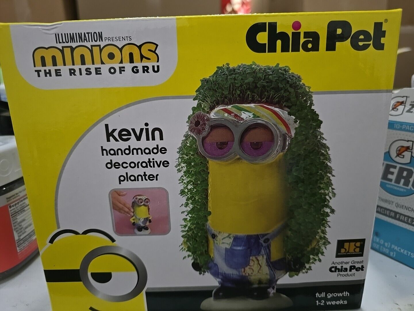 Chia Pet Hippie Kevin Handmade Decorative Planter From The Minions Rise Of Gru