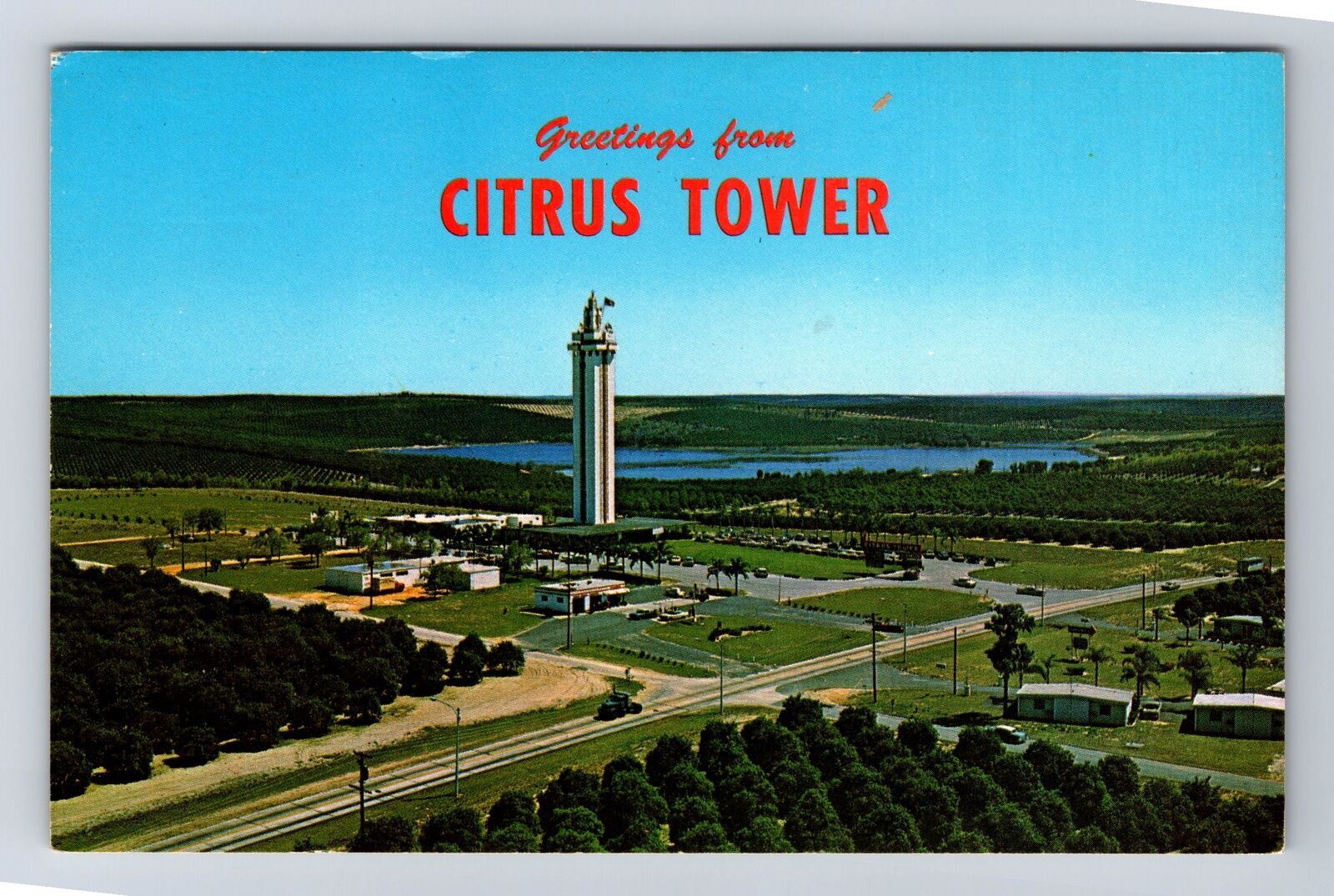 Clermont FL-Florida, Aerial View Citrus Tower & Groves, Vintage Postcard