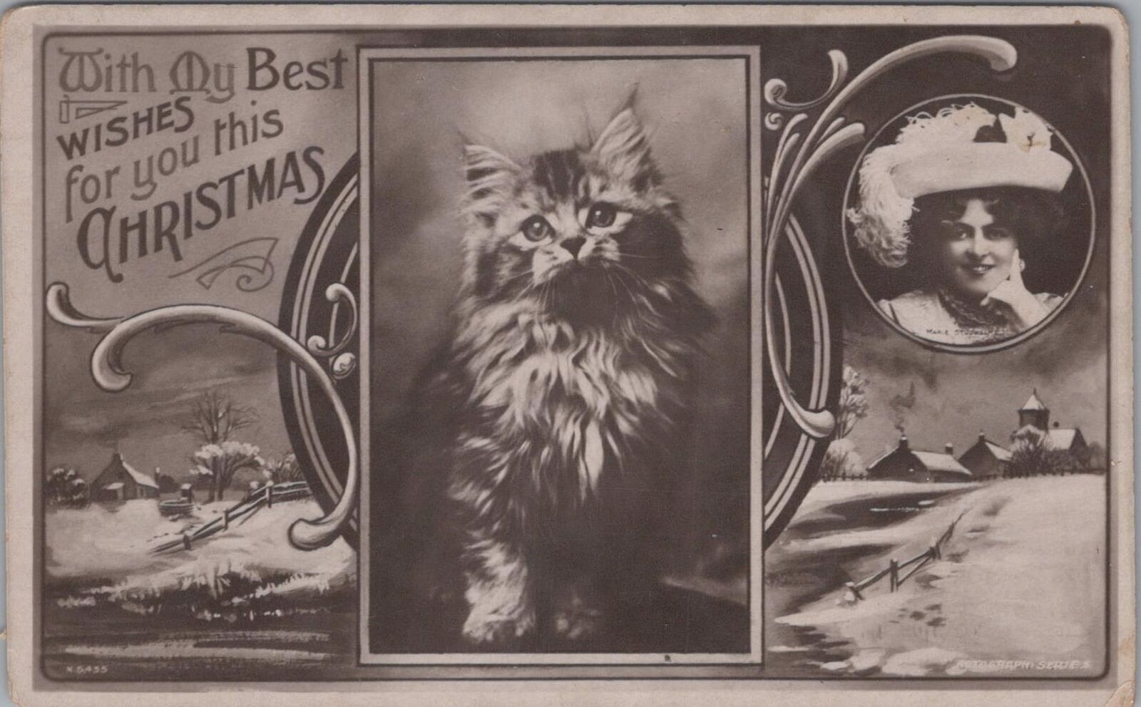 RPPC Postcard My Best Wishes for You this Christmas Furry Cat 
