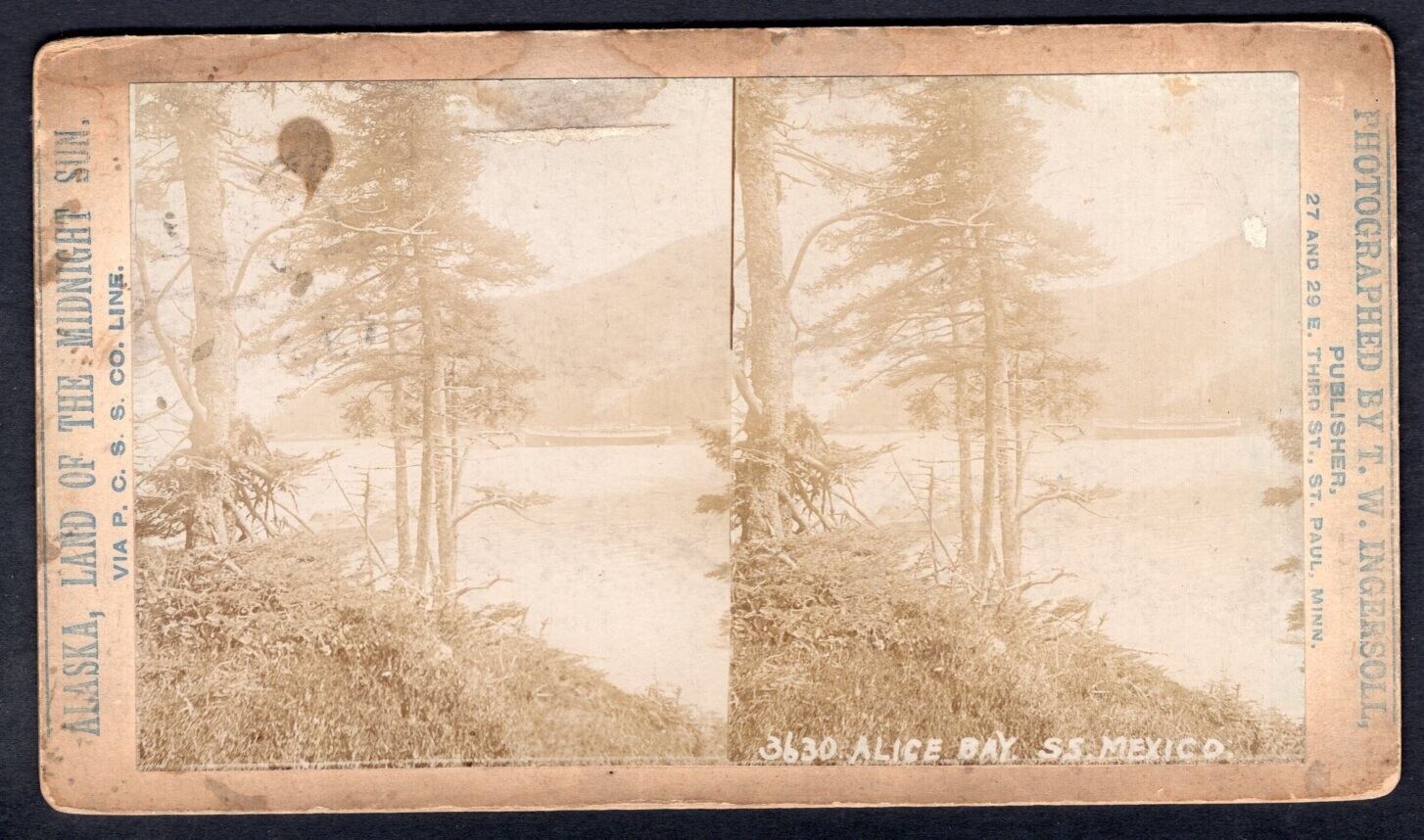 USA Alaska 1880s Steamer SS Mexico in Alice Bay Stereoview Photo by Ingersoll