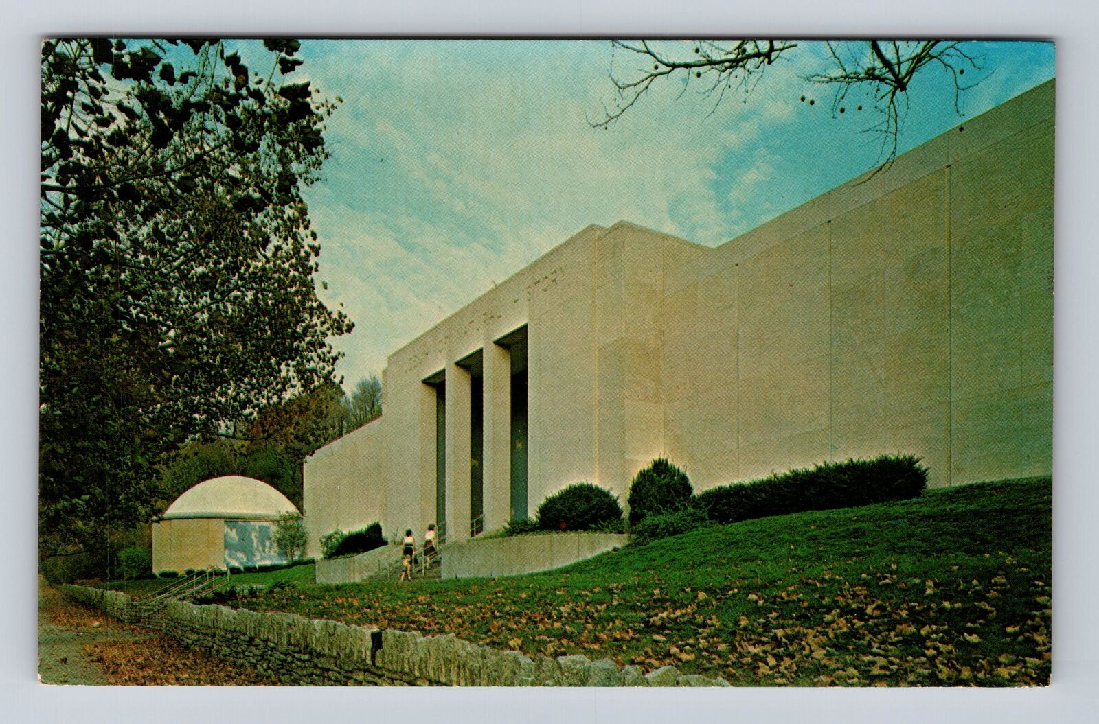 Cincinnati OH-Ohio, Museum of Natural History, Antique Vintage Souvenir Postcard
