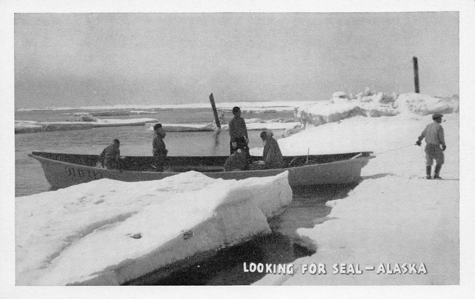 Looking For Seal, Alaska, early postcard, unused
