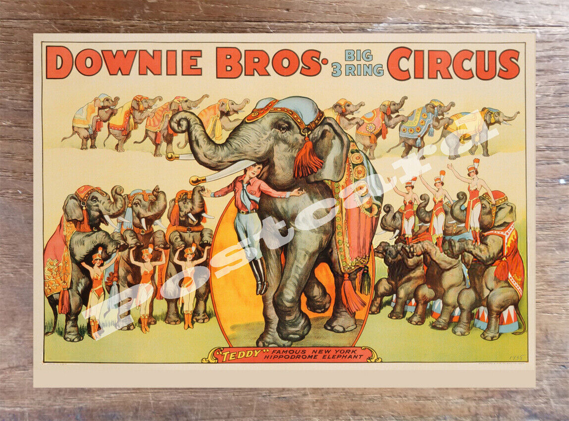 Historic Downie Bros. Big 3 Ring Circus Advertising Postcard