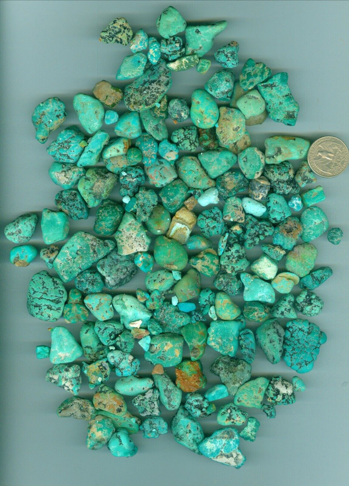 Stabilized Turquoise Rough 475 grams of American Fox Turquoise Cutting rough