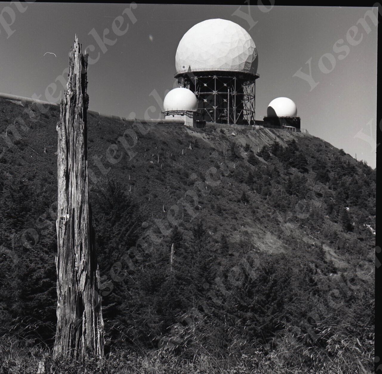 a15 Original Negative 1966  Mt Hebo AFS Radar Station Mountain top 450a