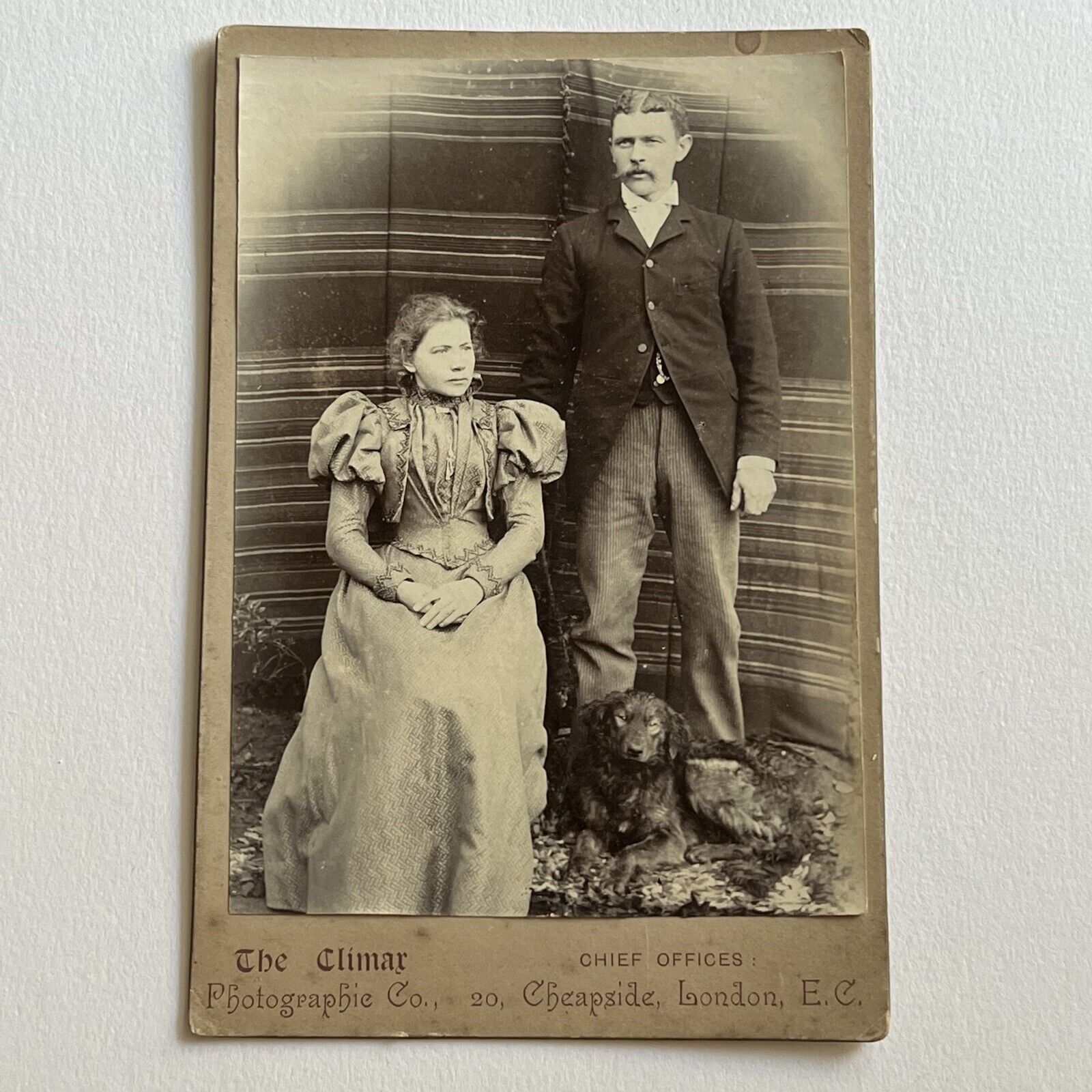Antique Cabinet Card Photograph Beautiful Couple Beloved Dog Cheapside London UK
