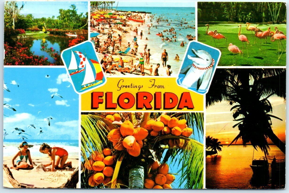 Postcard - Greetings From Florida