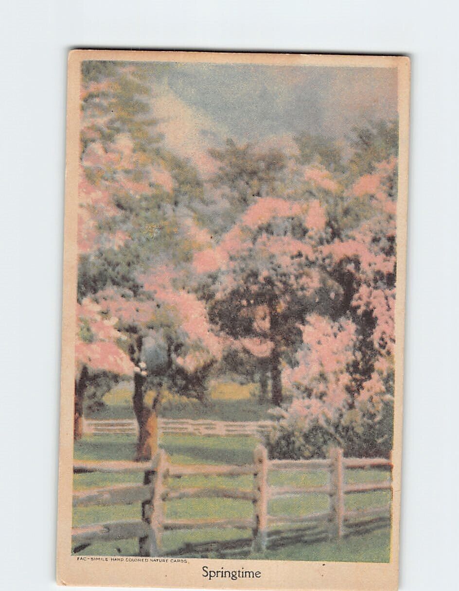 Postcard Springtime