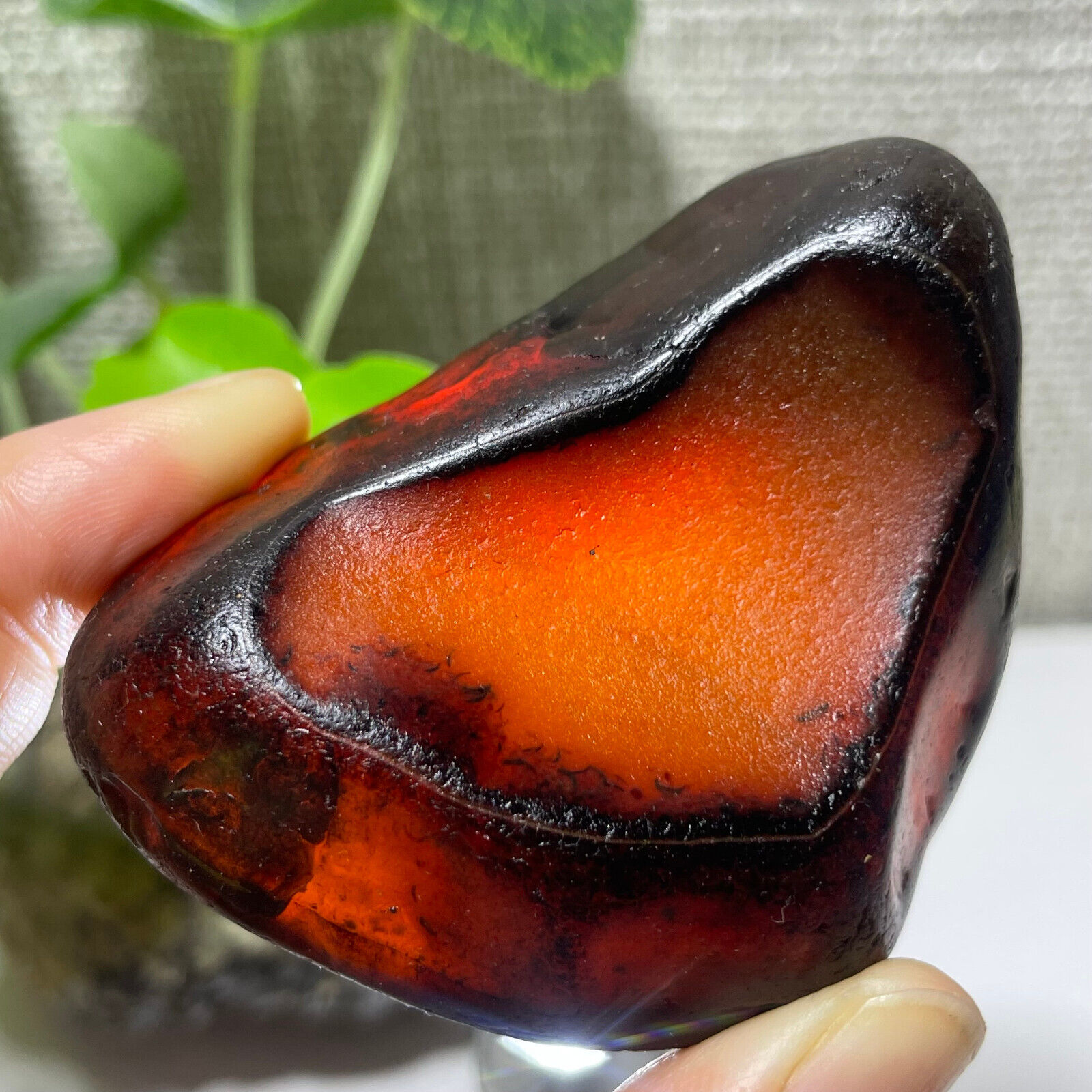 121g Bonsai Suiseki-Natural Gobi Agate Eyes Stone-Rare Stunning Viewing M7722