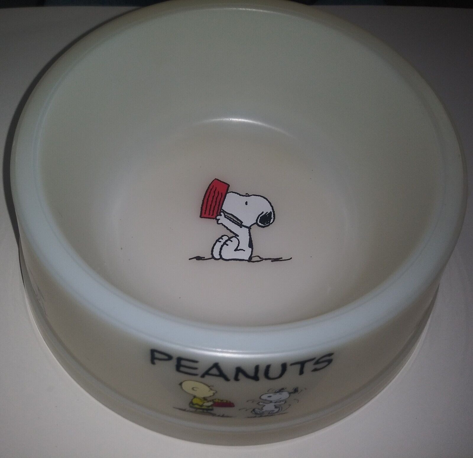 Vintage Peanuts Snoopy Plastic Dish / Bowl NEVER BEEN USED as dog dish