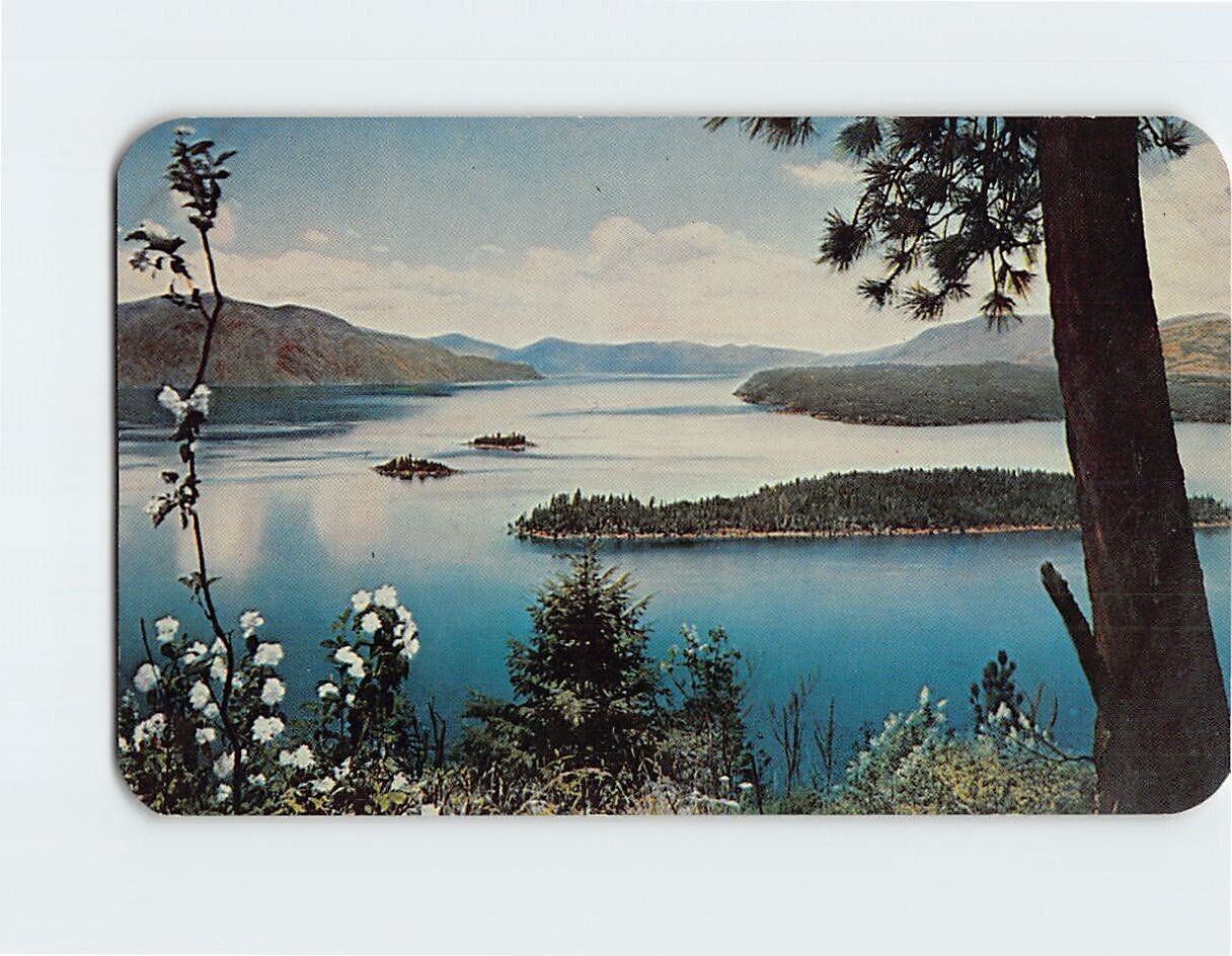 Postcard Syringa Time Lake Pend Oreille Idaho USA