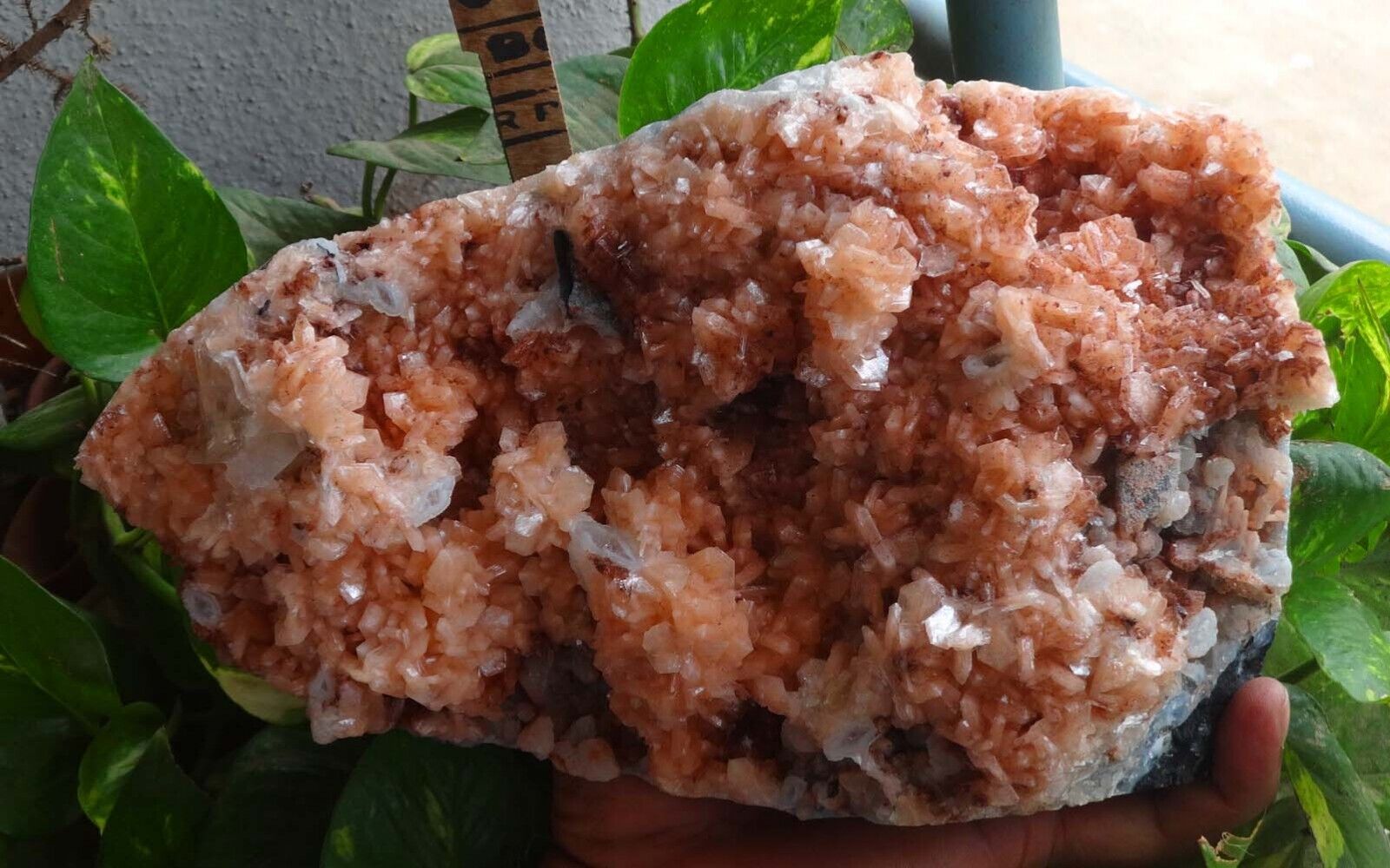 Stilbite On Chalcedony Minerals Specimen India